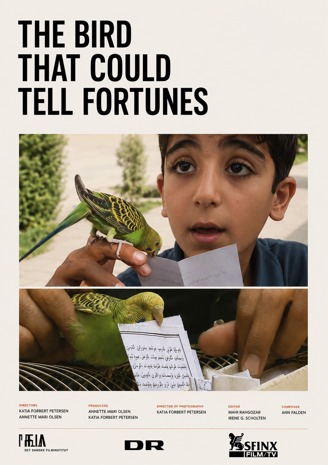 The Bird That Could Tell Fortunes poster